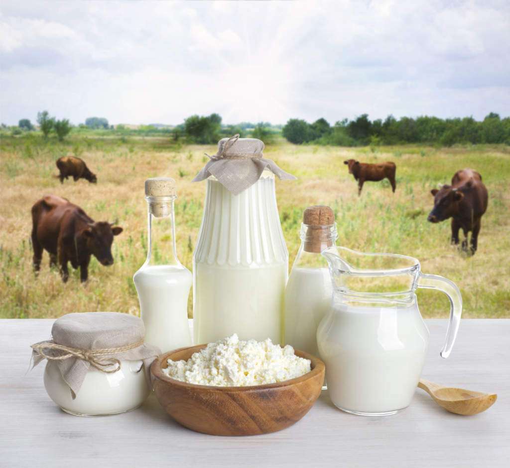 Страны с самыми высокими показателями остеопороза - это те, в которых люди пьют больше всего молока и потребляют большое количество продуктов, богатых белками животного происхождения